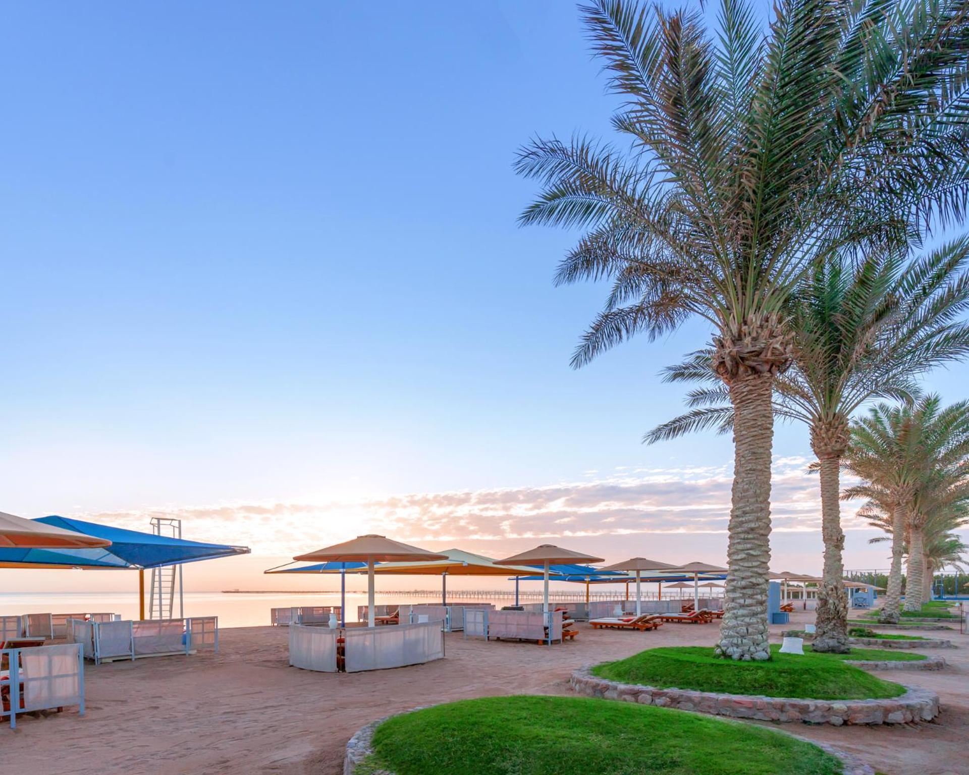 Hotel Royal Albatros Moderna - Families and couples only à Charm el-Cheikh Extérieur photo The photo shows a serene beach scene during sunset. There are several palm trees lining the beach, providing a tropical atmosphere. In the foreground, there are shaded lounge areas or cabanas with umbrellas, arranged neatly on sandy ground. The beach